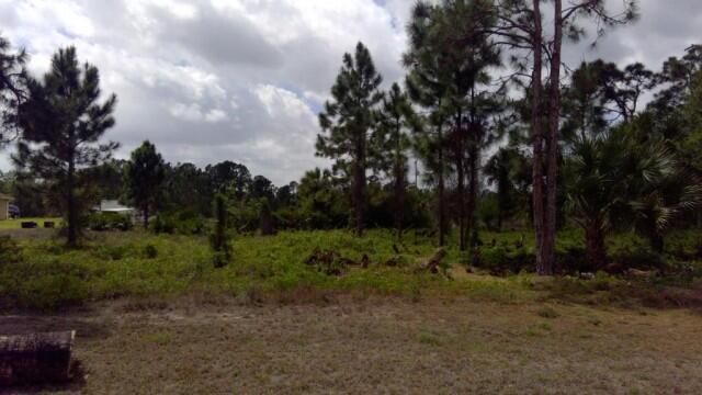 1236 Count Street E, Lehigh Acres, FL 33974 Photo
