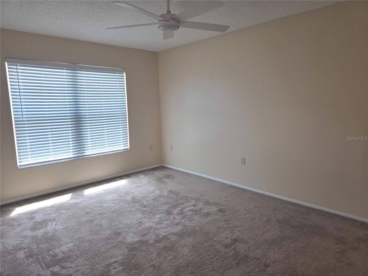 2912 Wainwright Court, New Port Richey, FL 34655 Photo