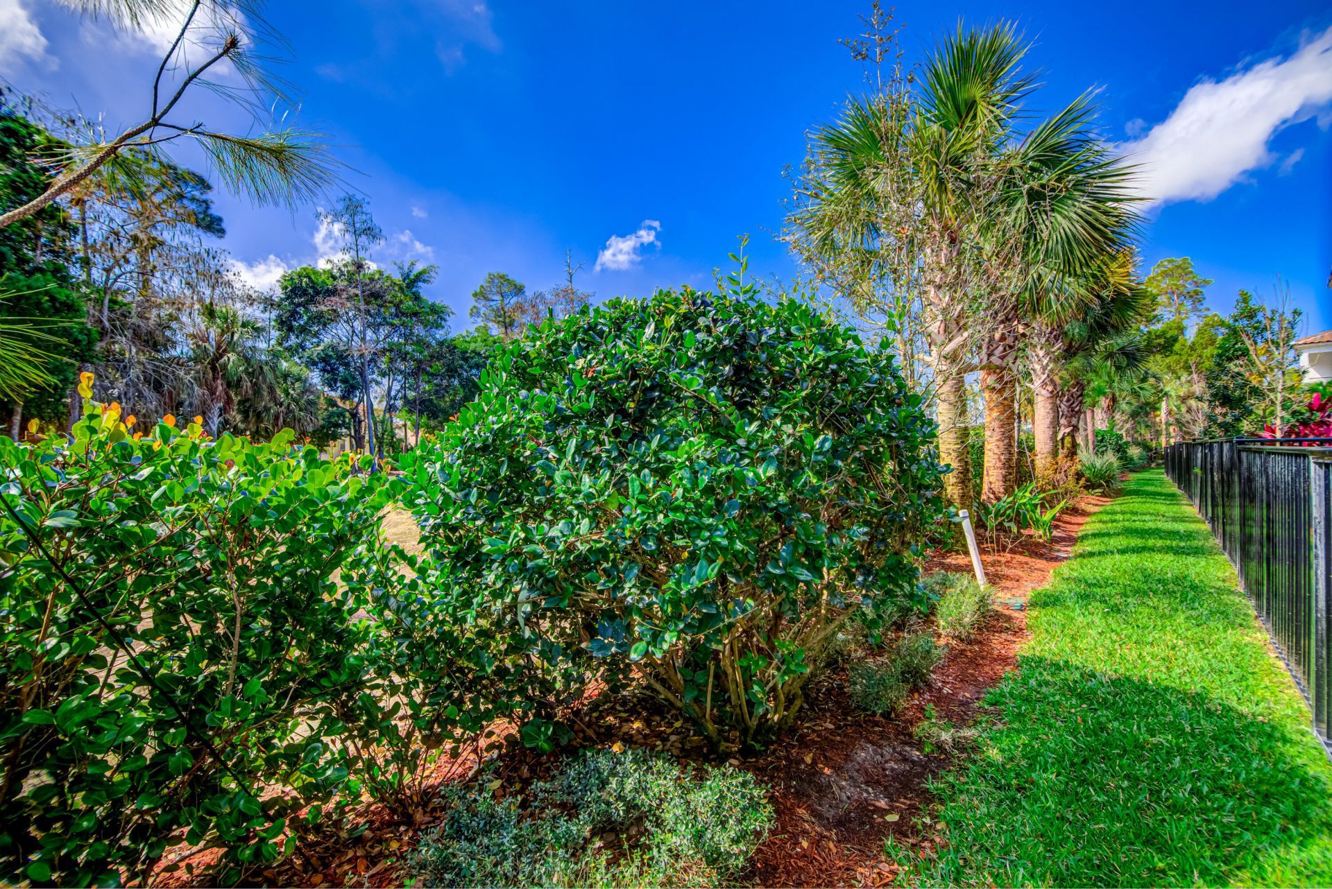15688 Italian Cypress Way, Wellington, FL 33414 Photo