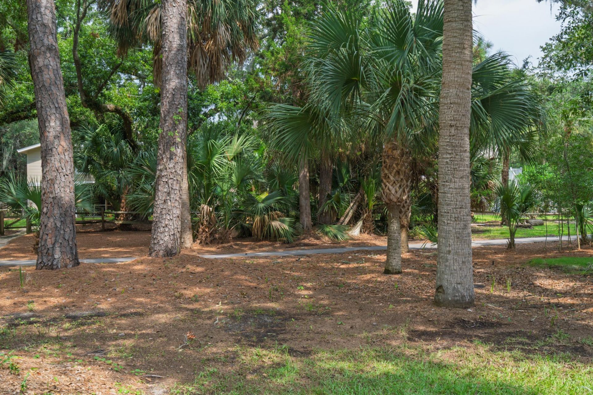 3403 Palmetto Boulevard Photo 35