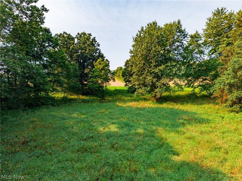 Stone Ave , Navarre, OH 44662 Photo 11