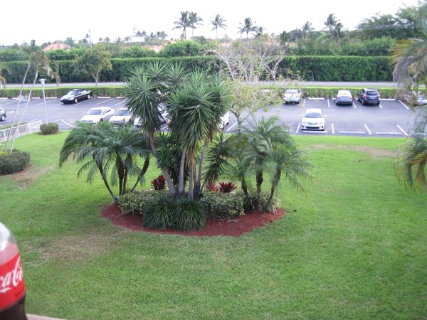 329 BRIGHTON H, Boca Raton, FL 33434