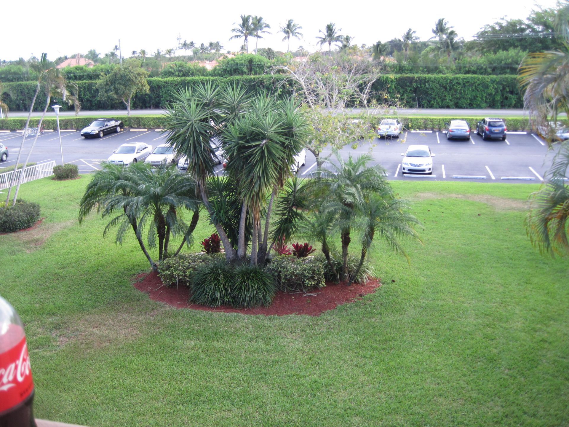 329 Brighton H, Boca Raton, FL 33434 Photo