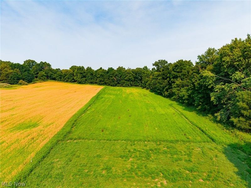 Stone Ave , Navarre, OH 44662 Photo 1
