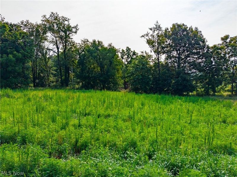 Stone Ave , Navarre, OH 44662 Photo 10