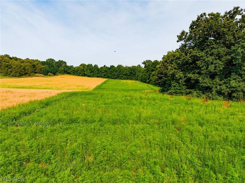 Stone Ave , Navarre, OH 44662 Photo 3