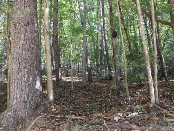 LOT 546 Satsuma North Court, Ellijay, GA 30540