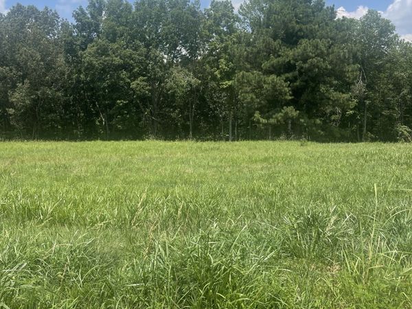 0 Summer Lake , Unit 6, Winchester, TN 37398