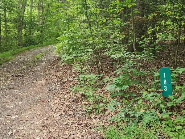 Lot 1 JUNIATA FURNACE LANE , NEWPORT, PA 17074