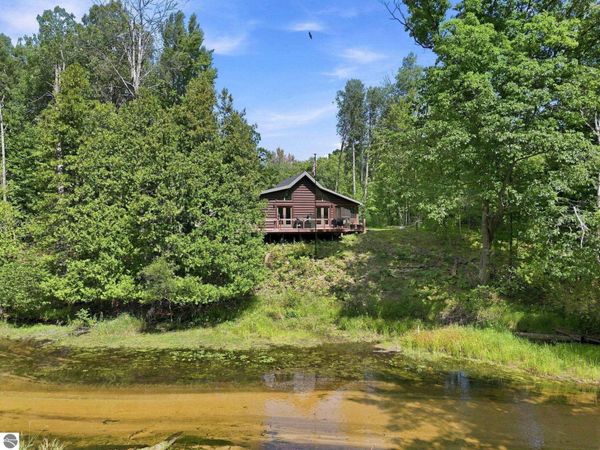 9909 Lotan Road W, Lake City, MI 49651