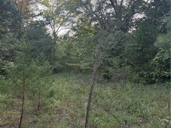 10 Earl Lane , Dover, AR 72837