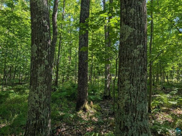 xxx Cherryville Rd, Ashland, WI 54806