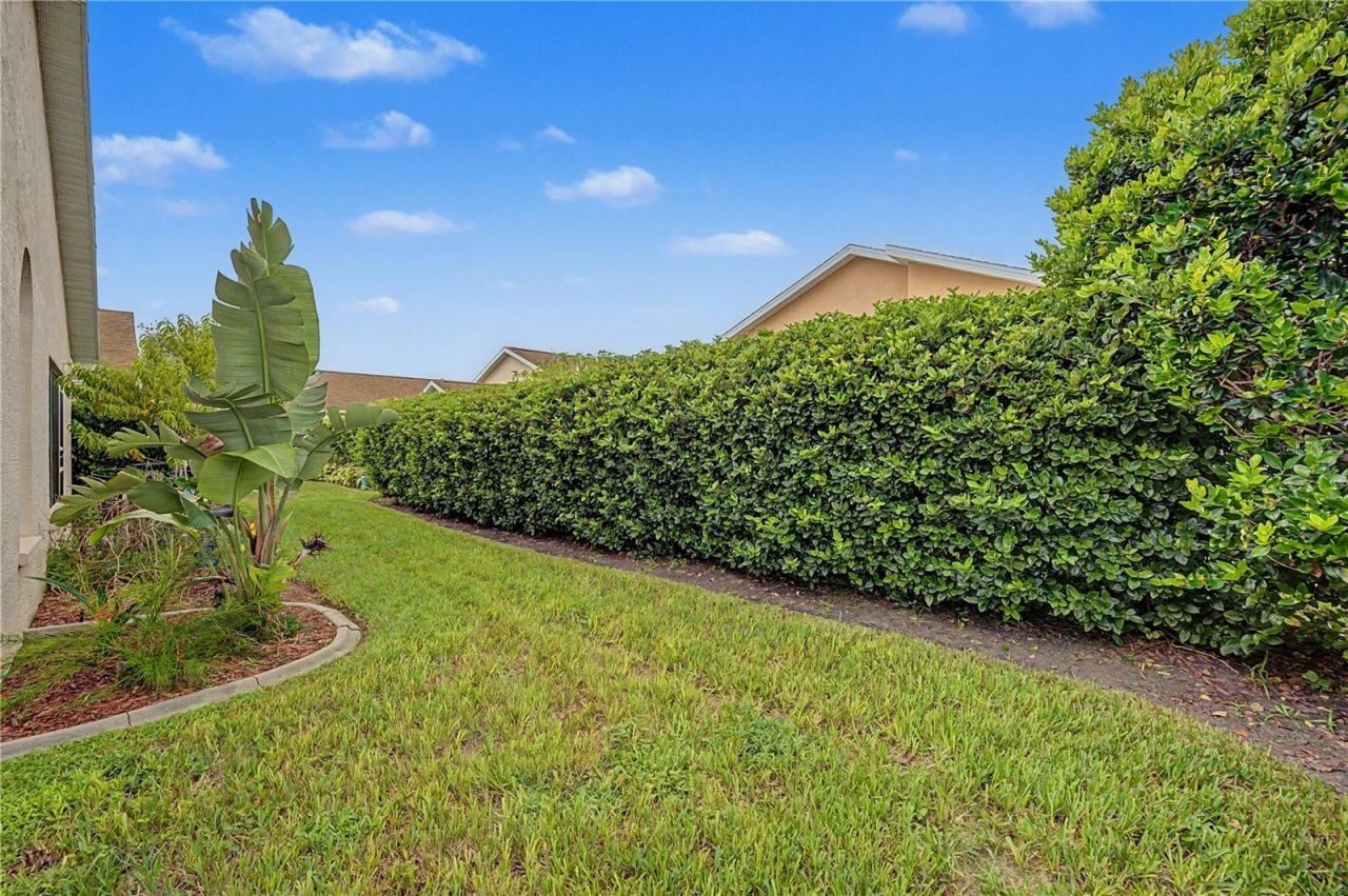 3327 Scorecard Drive , New Port Richey, FL 34655 Photo