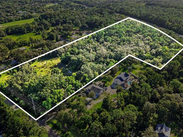 LIVINGSTON AVE , LUTZ, FL 33559