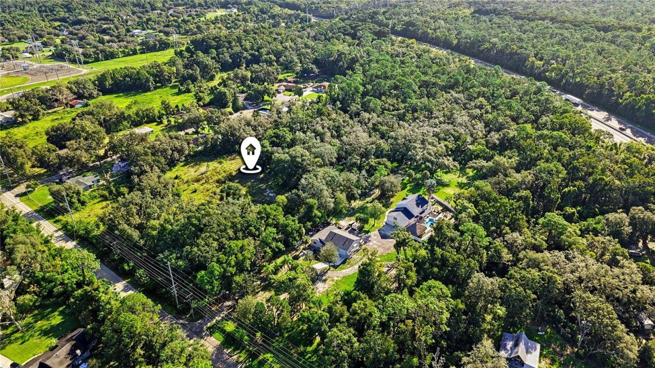 Livingston Ave , Lutz, FL 33559 Photo