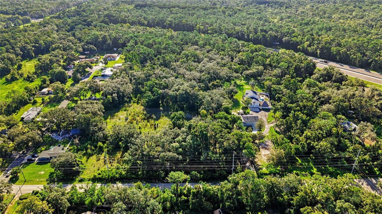 Livingston Ave , Lutz, FL 33559 Photo