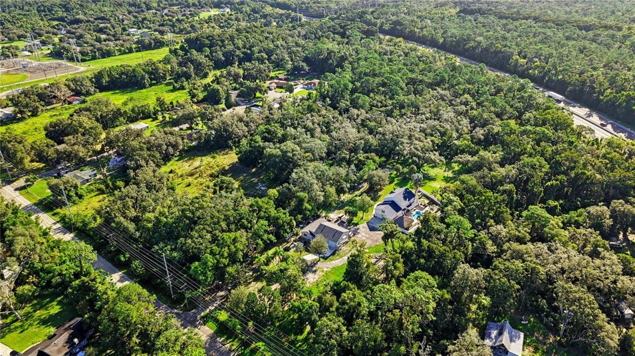 Livingston Ave , Lutz, FL 33559 Photo