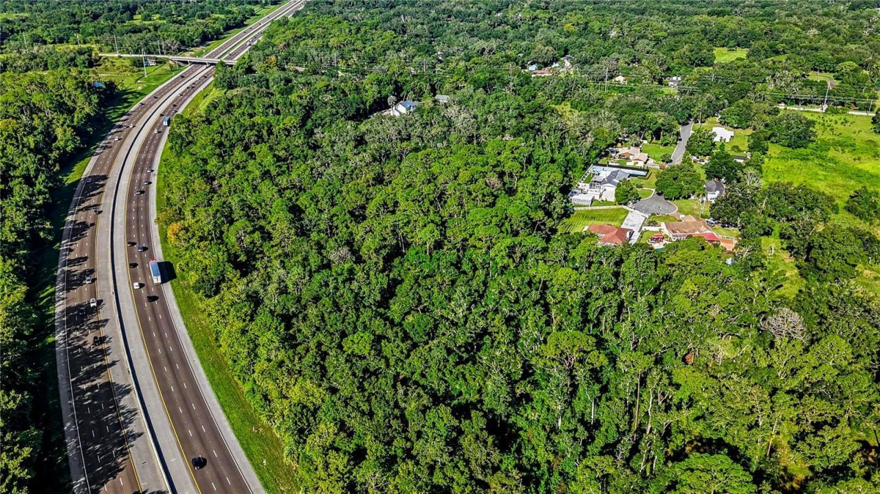 Livingston Ave , Lutz, FL 33559 Photo