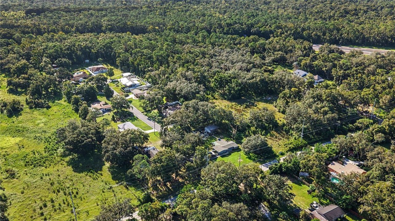 Livingston Ave , Lutz, FL 33559 Photo