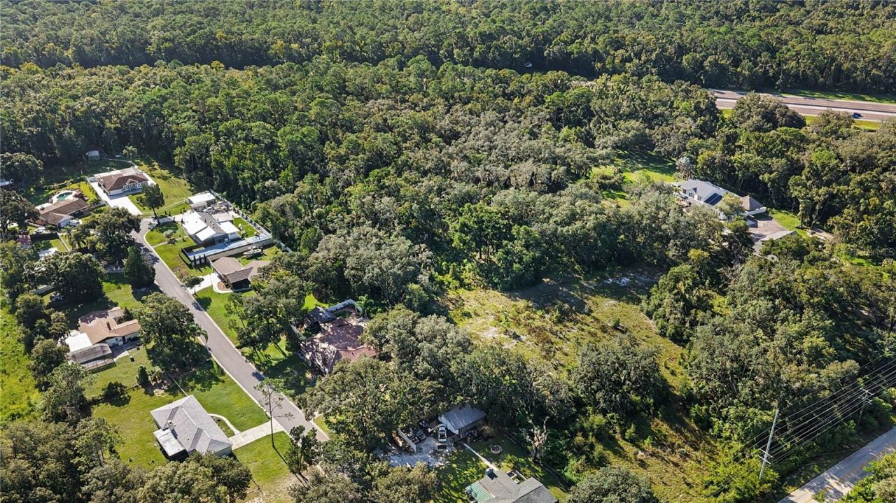 Livingston Ave , Lutz, FL 33559 Photo