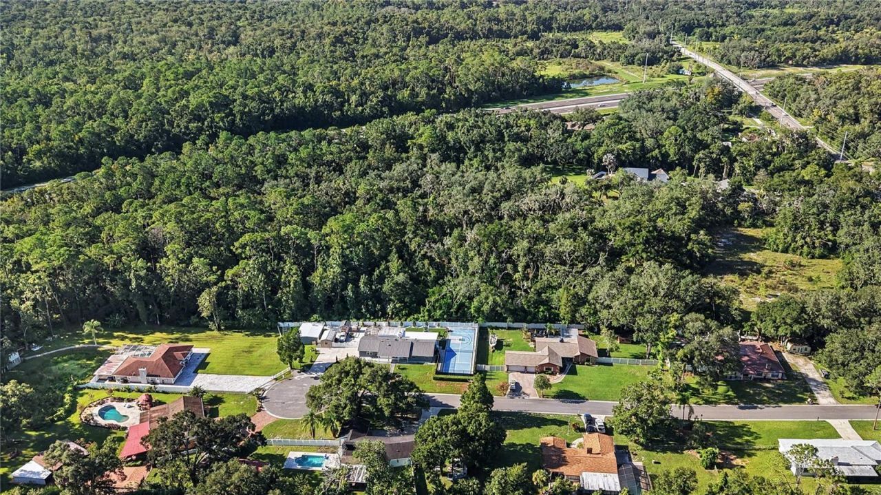 Livingston Ave , Lutz, FL 33559 Photo