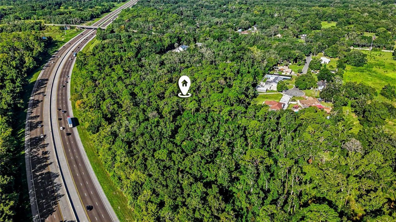 Livingston Ave , Lutz, FL 33559 Photo