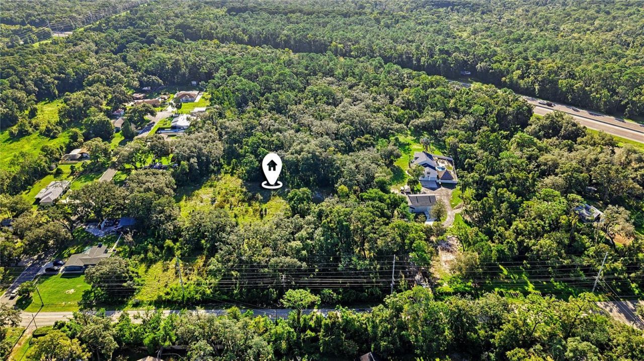 Livingston Ave , Lutz, FL 33559 Photo