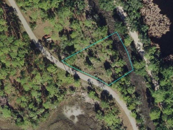 00-00-121-274-11968-A15 FIDDLER TERRACE, CRAWFORDVILLE, FL 32327