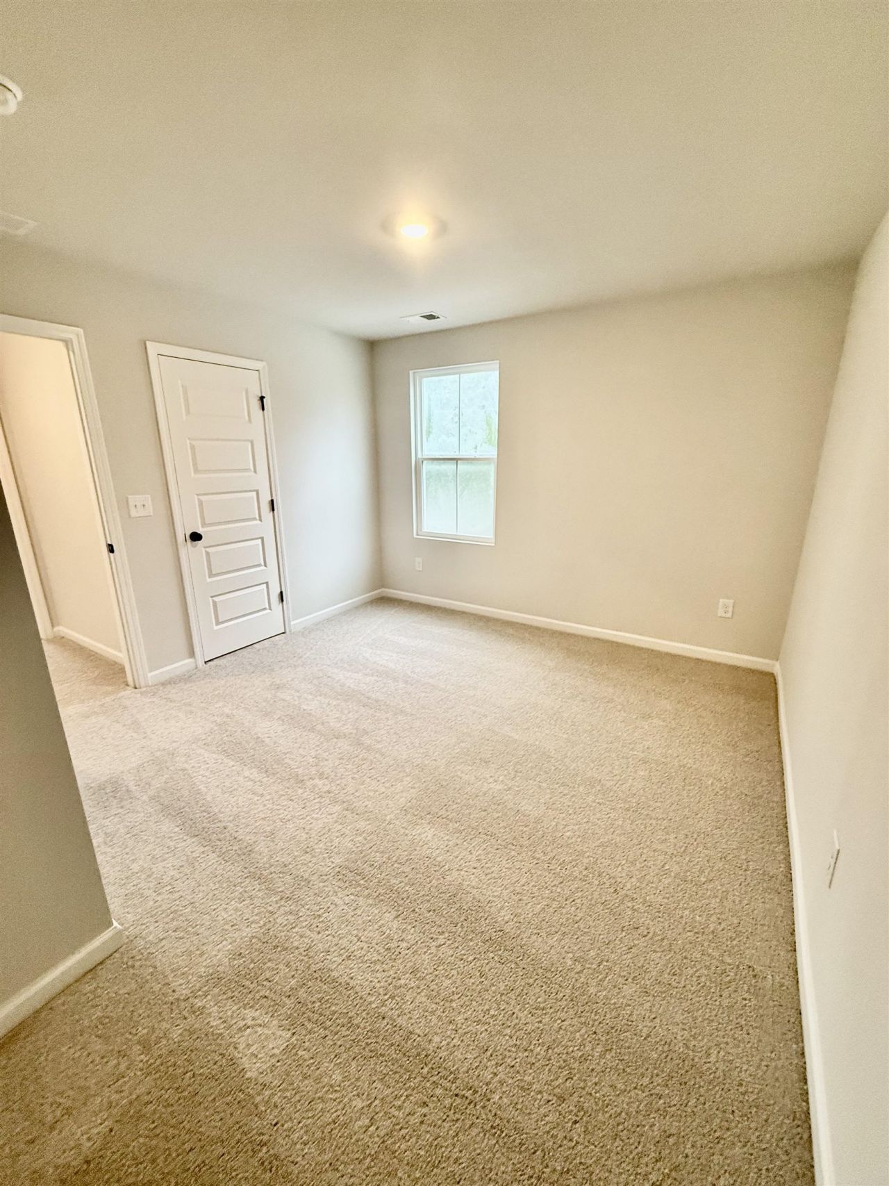 500 Cambria Dr  Photo 6