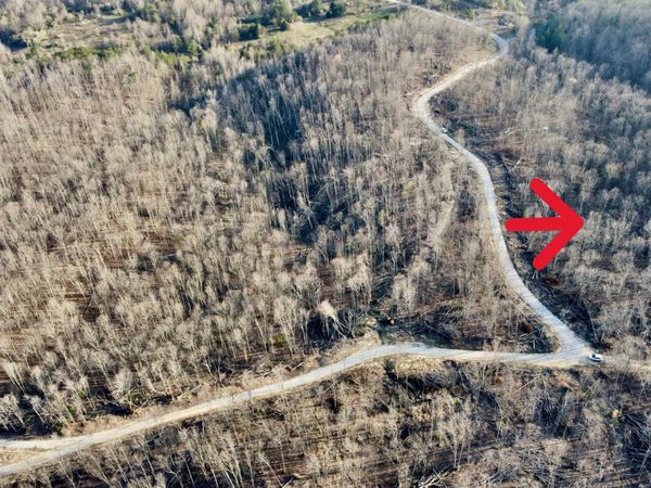 Lot#7 Mill Creek Rd, Sunbright, TN 37872