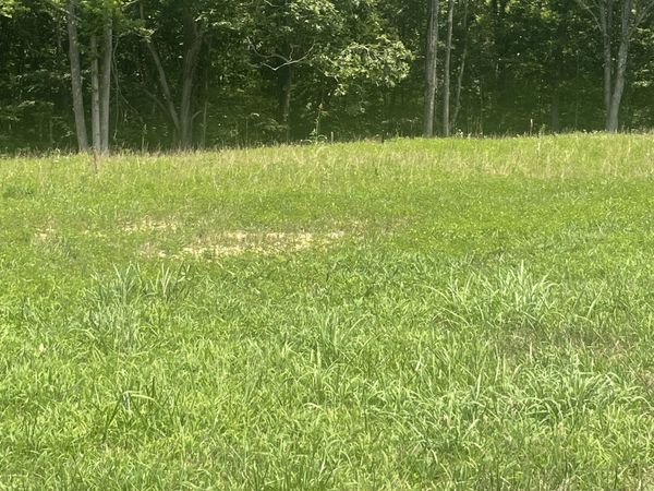 0 Summer Lake , Unit 8, Winchester, TN 37398