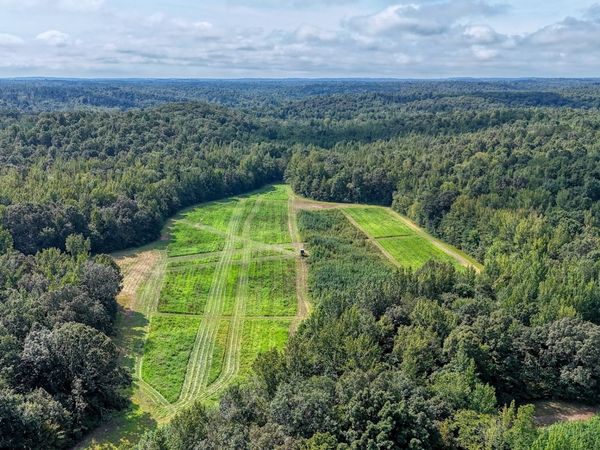 5650 Sulphur Creek Rd , Big Sandy, TN 38221