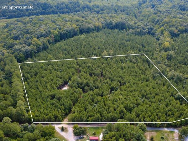 239 Lick Creek Road, Carthage, NC 28327