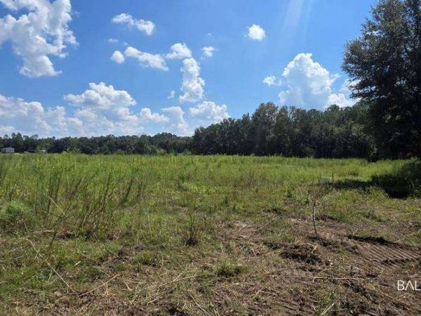 21373 Ima Brill Loop, Robertsdale, AL 36567