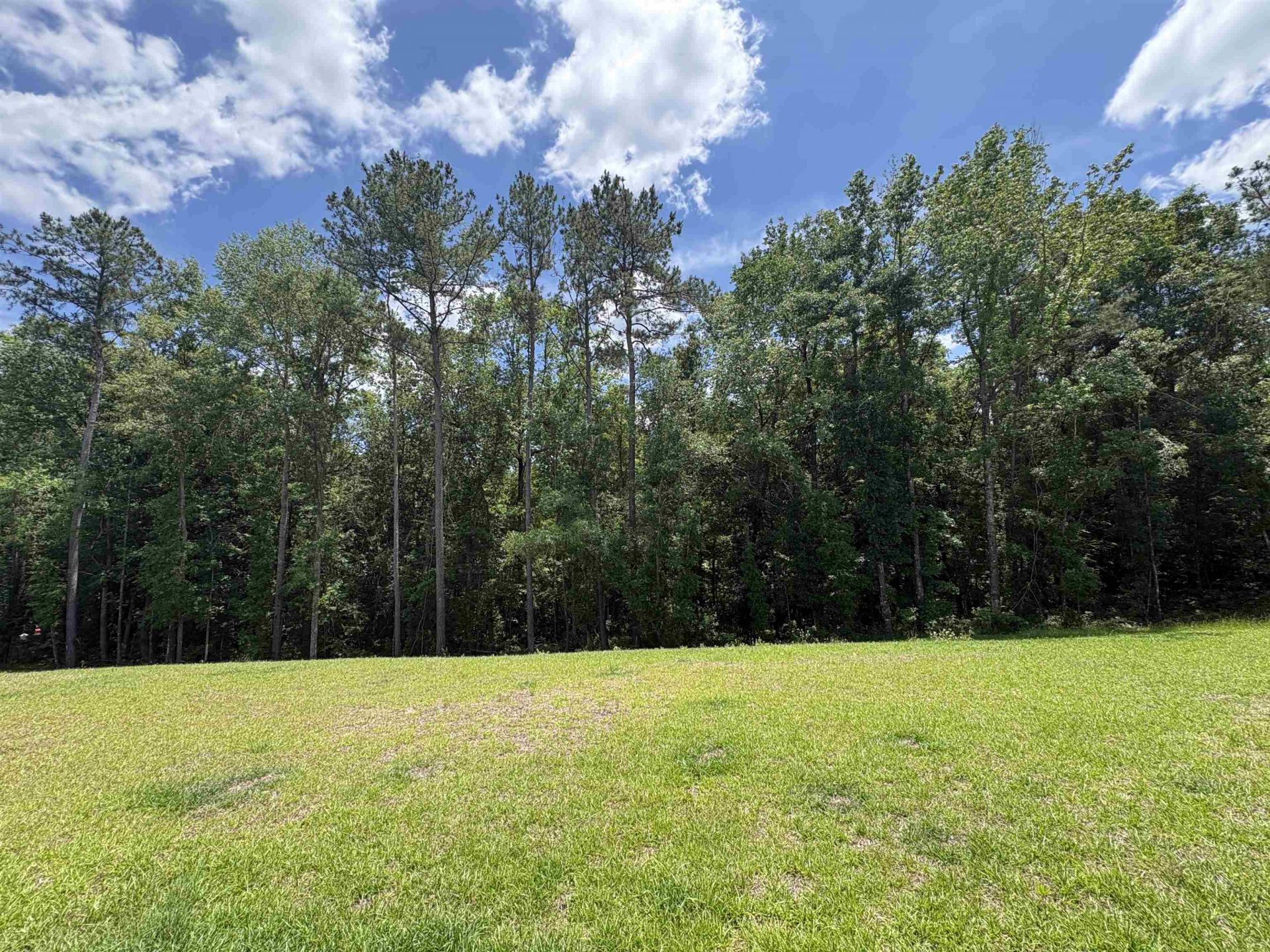 324 Delores Madison Drive , Midway, FL 32343 Photo