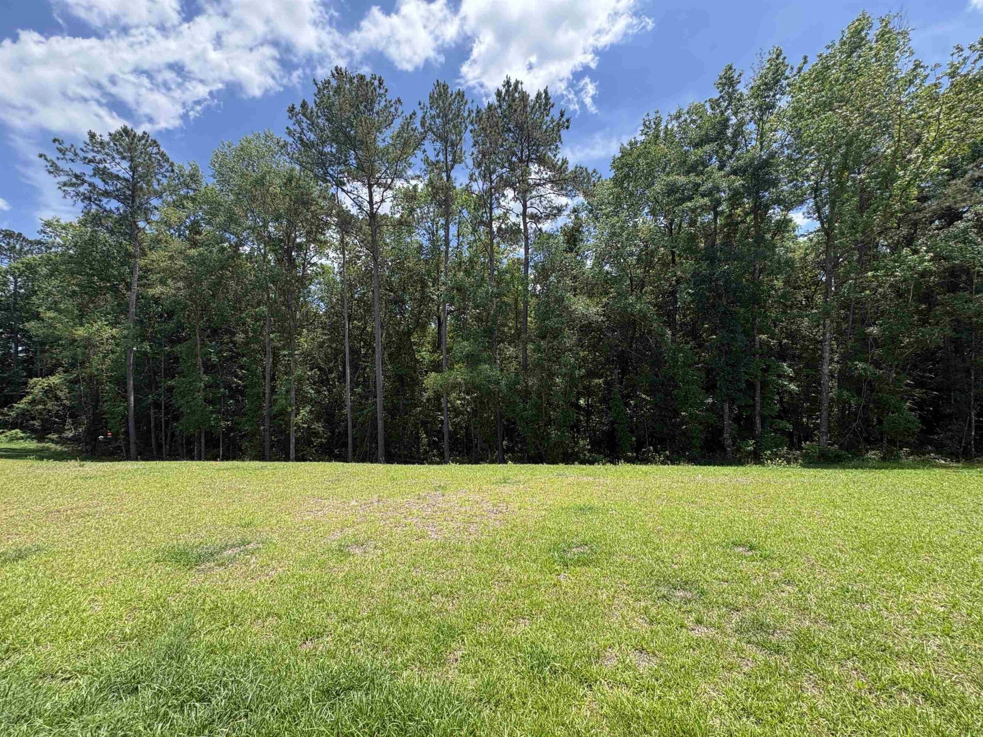 324 Delores Madison Drive , Midway, FL 32343 Photo
