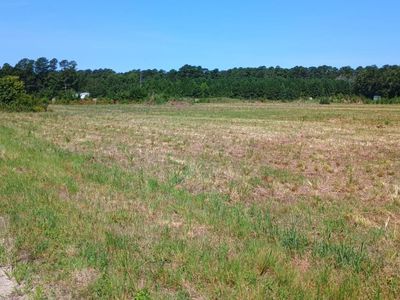 TBD Strickland Rd., Green Sea, SC 29545