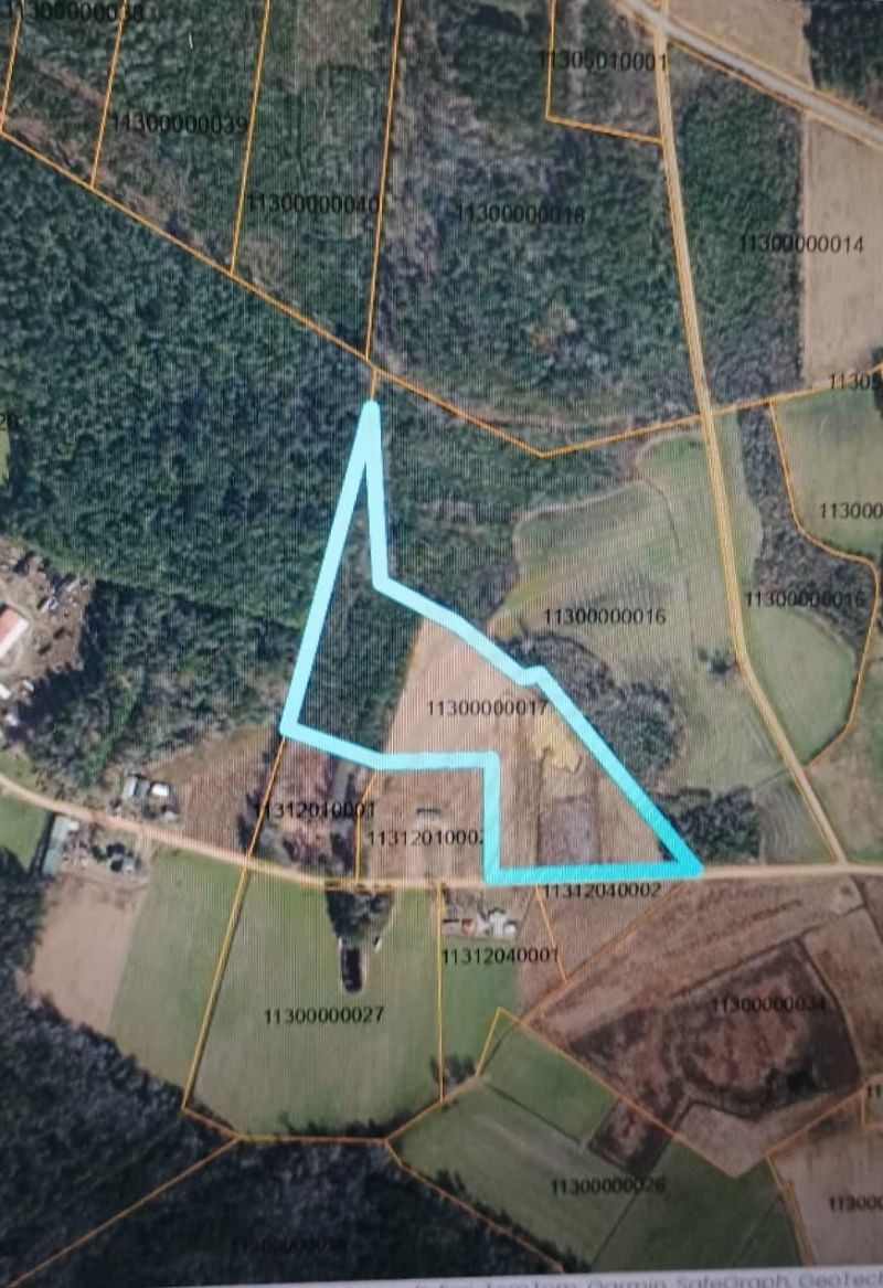 Tbd Strickland Rd. Photo 11