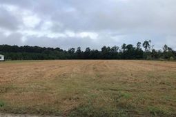 Tbd Strickland Rd. photo 4