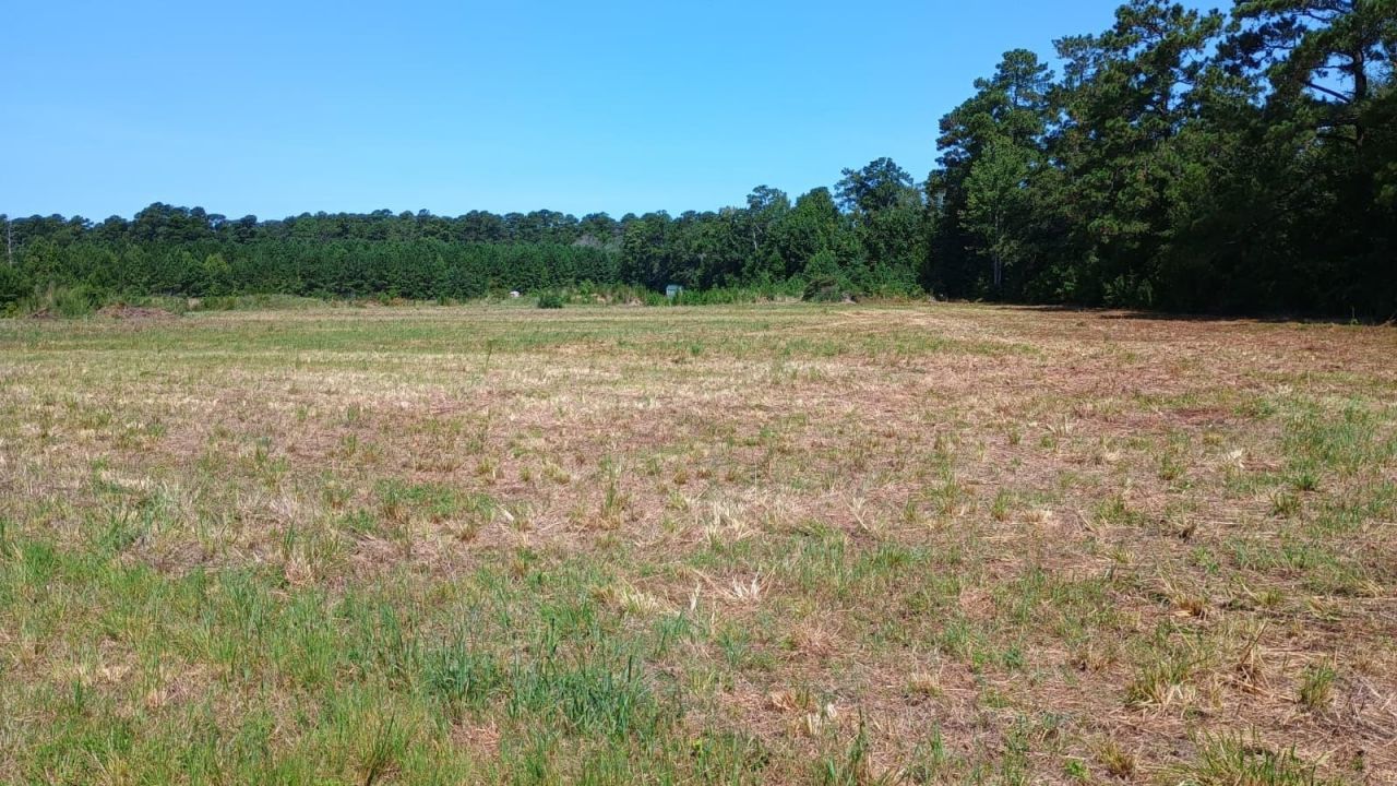 Tbd Strickland Rd. Photo 4