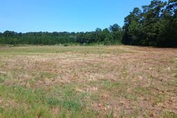 Tbd Strickland Rd. photo 4