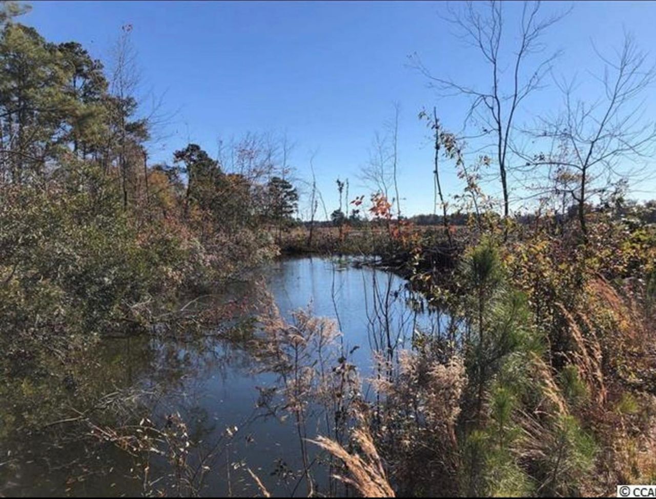 Tbd Strickland Rd. Photo 6