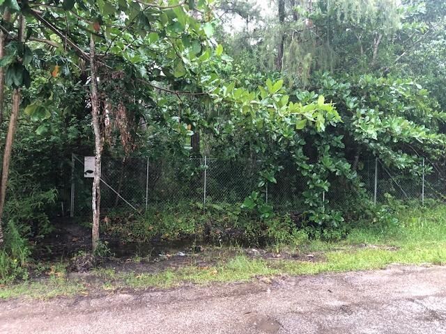 6424 Park Lane W, Lake Worth Beach, FL 33449 Photo