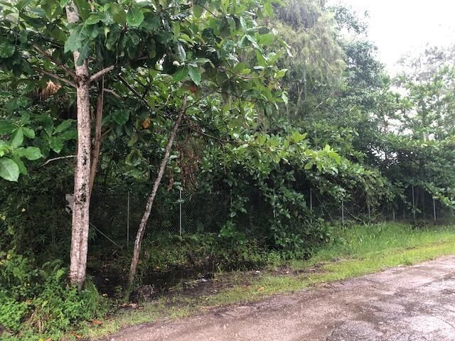 6424 Park Lane W, Lake Worth Beach, FL 33449 Photo