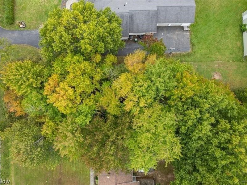 Olde Eight Road, Northfield, OH 44067 Photo 4