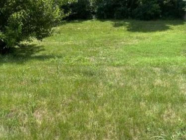 305 Lynnwood Drive, Nicholasville, KY 40356