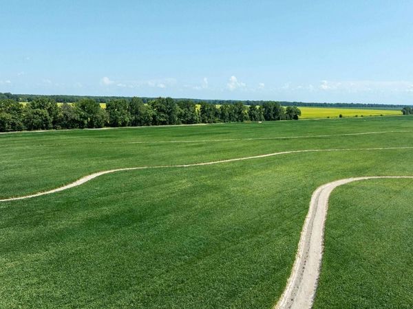 County Road 136 , Hickory Ridge, AR 72347