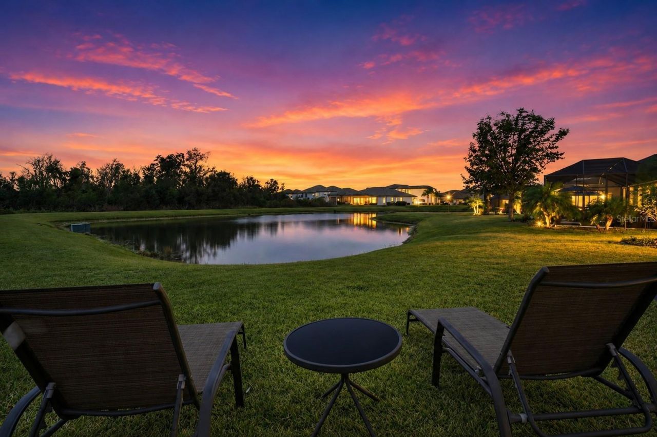 33564 Willow Point Ct, Wesley Chapel, FL 33545 Photo