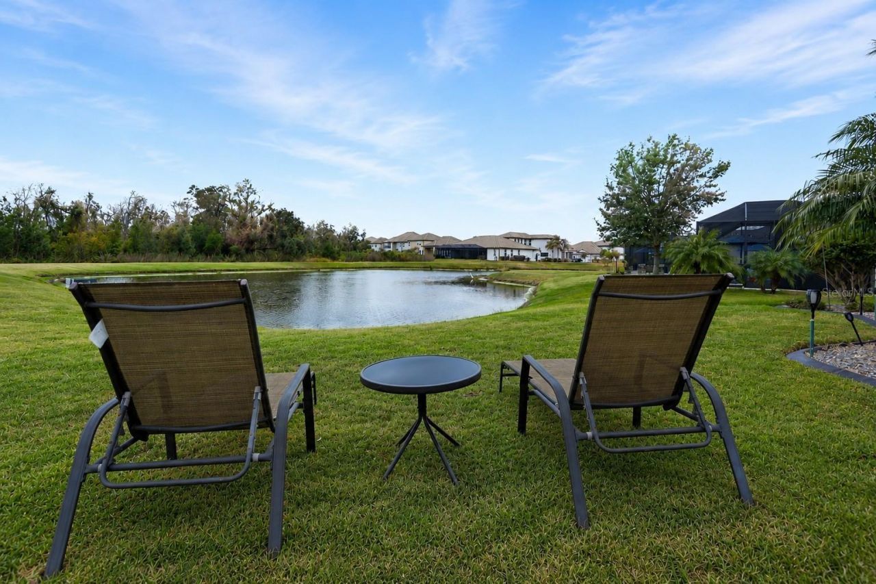 33564 Willow Point Ct, Wesley Chapel, FL 33545 Photo