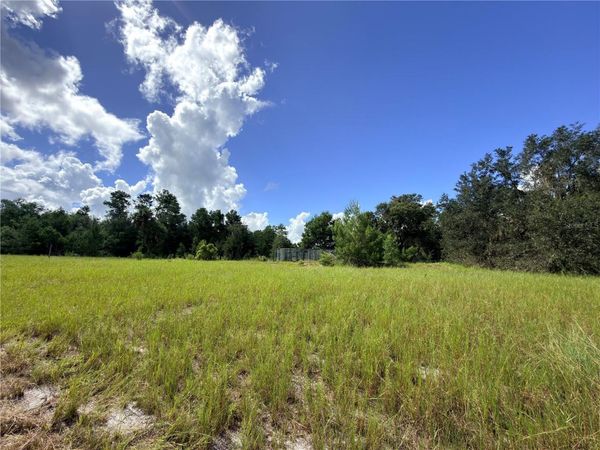 41938 PINE VALLEY DRIVE , PAISLEY, FL 32767